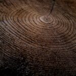 wood close photo
