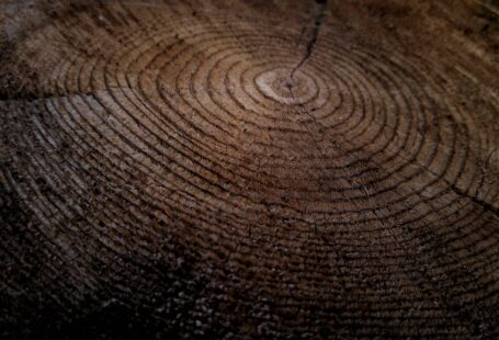 wood close photo