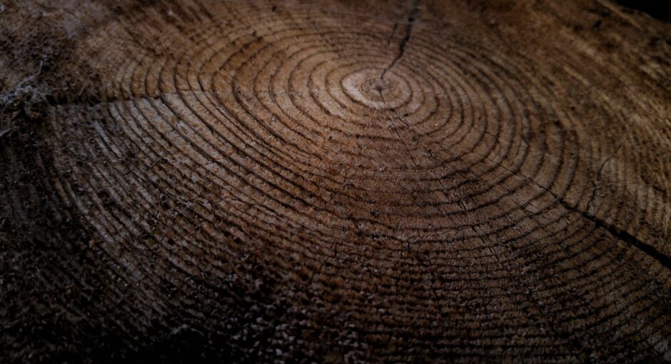wood close photo